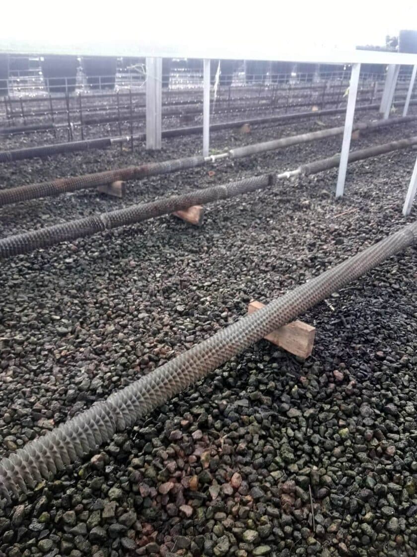 דוד קיטור מול מחולל קיטור: מה עדיף למפעל שלכם?